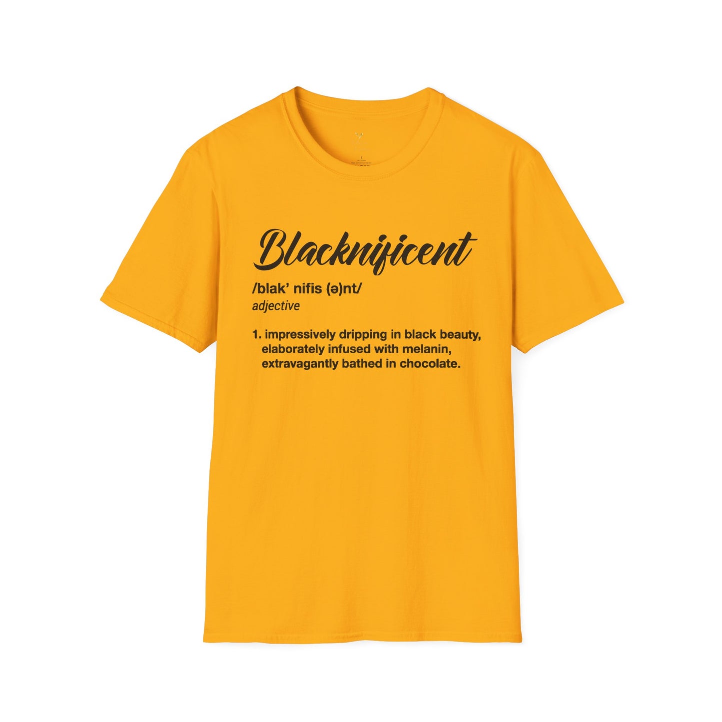 Blacknificent Definition T-Shirt
